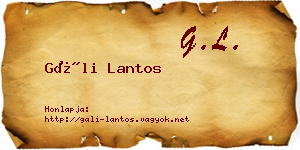 Gáli Lantos névjegykártya